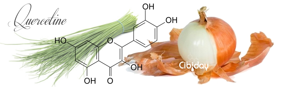 Flavonoïde Quercetine